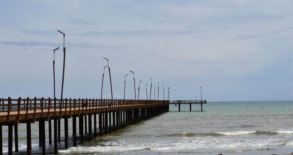 WhatsApp Image 2024-10-22 at 4.29.00 PM